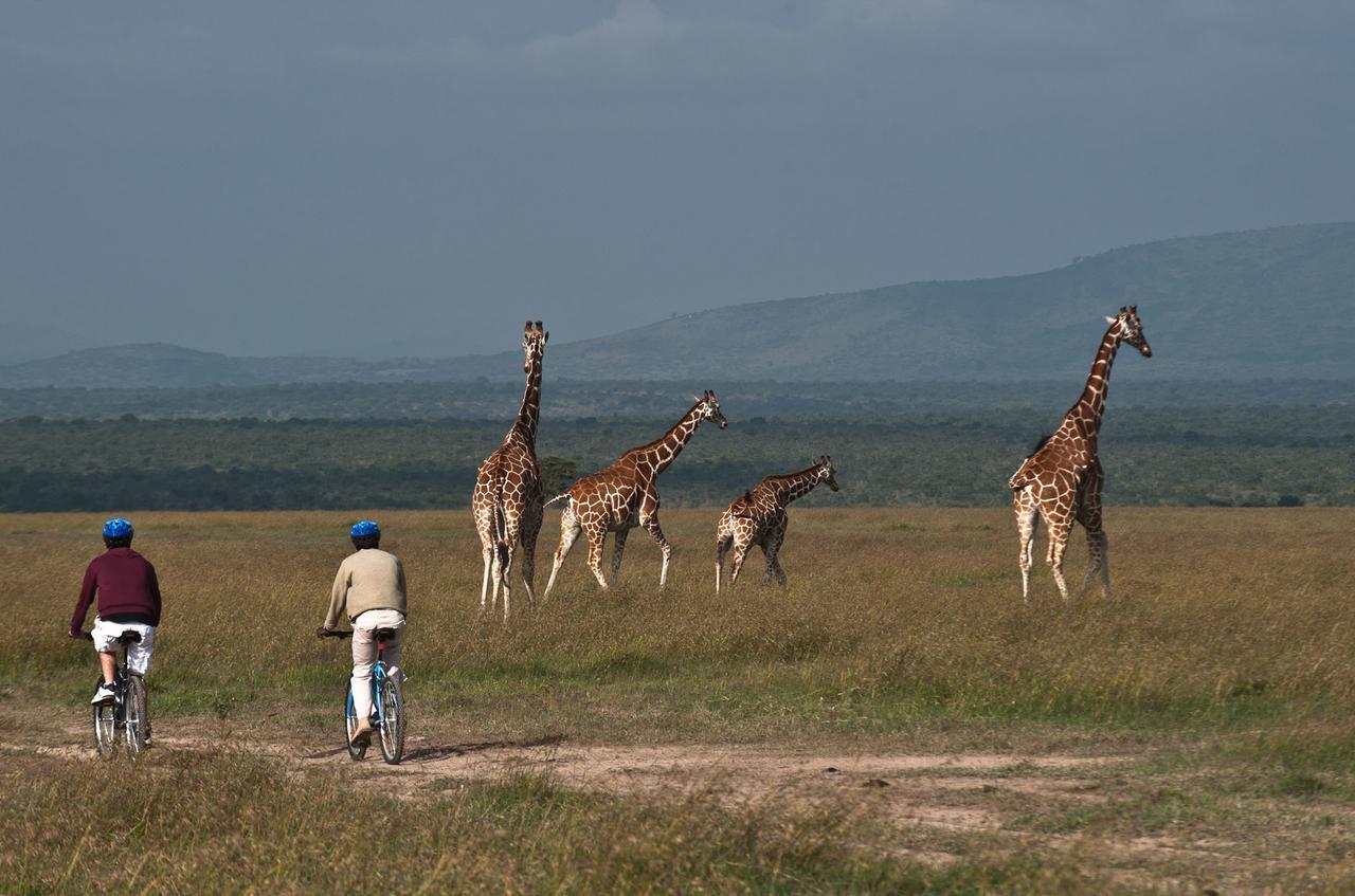 Kicheche Laikipia Camp Villa Ol Pejeta Conservancy Bagian luar foto