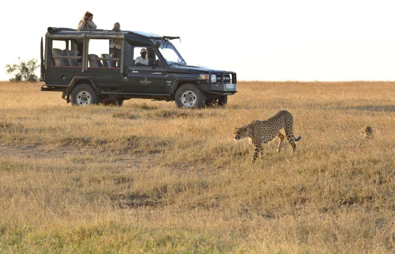 Kicheche Laikipia Camp Villa Ol Pejeta Conservancy Bagian luar foto